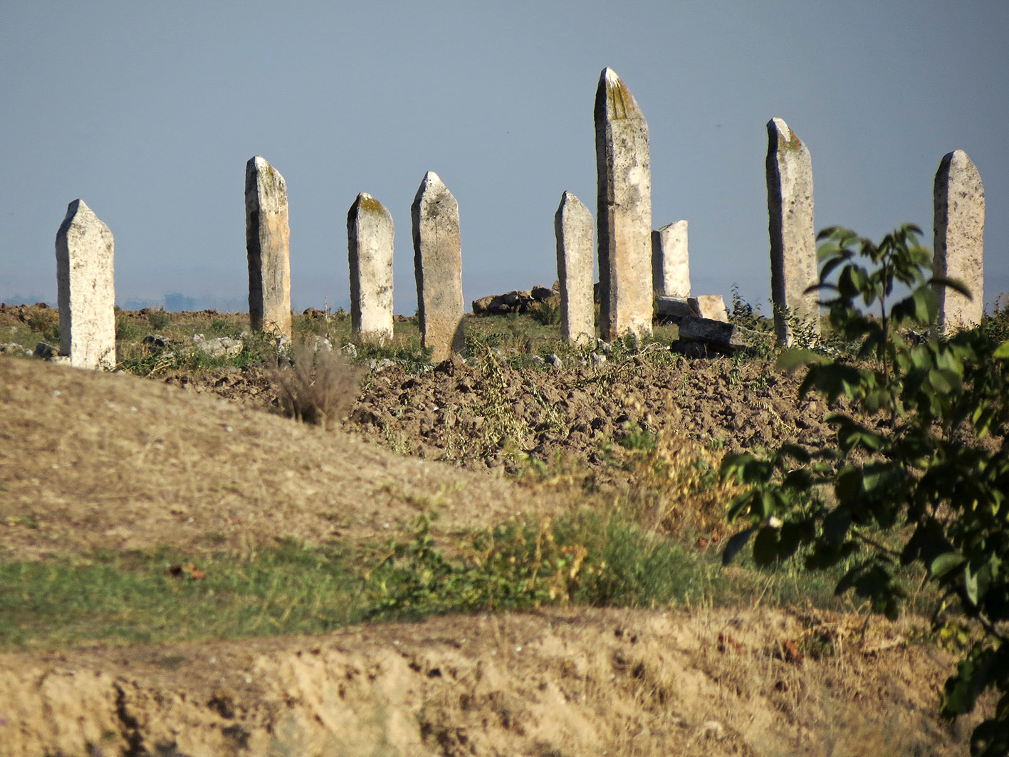 Tigranakert, Shahbulag, Surenavan (Тигранакерт, Шахбулаг, Суренаван | Artsakhi Tigranakert, Şahbulaq qalası, Սուրենավան )